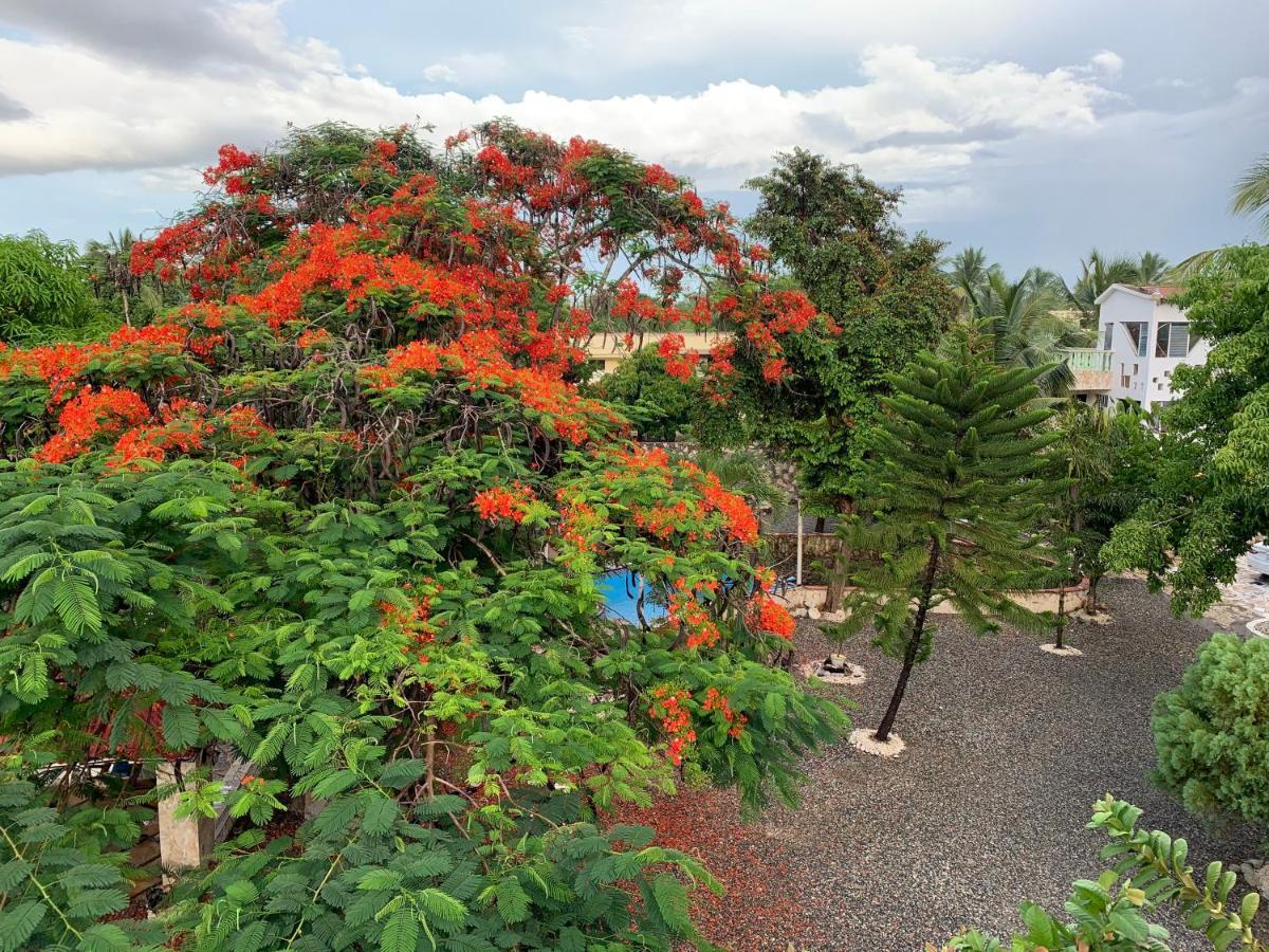 Villa Marcia Boca Chica Dış mekan fotoğraf